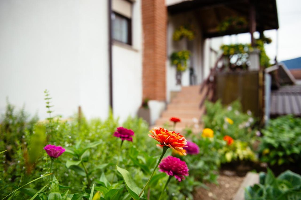 Apartment Sovdat Tolmin Exterior foto